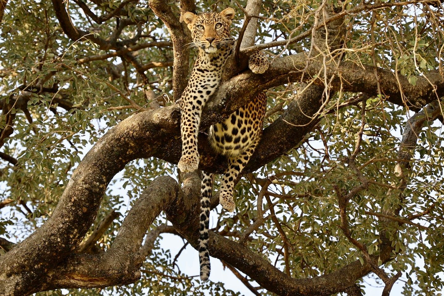 12 Day Northern Safari & Beach Escape