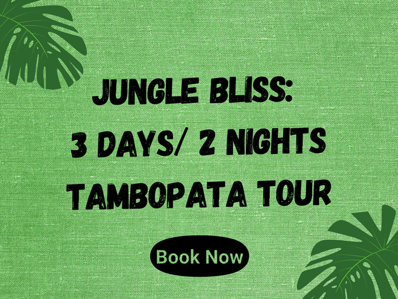Jungle Bliss  - 3 Days Tambopata