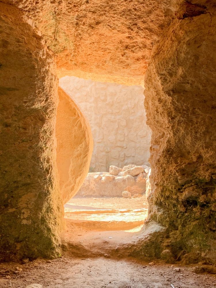 Hineni Tours March 2024 "Comfort My People" Israel Tour!