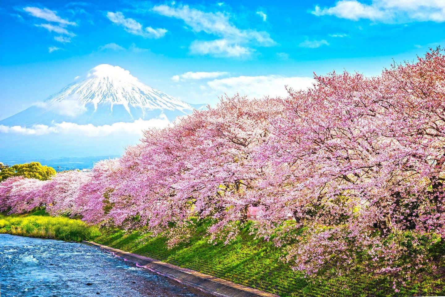 Japan Cycling Cruise 2027