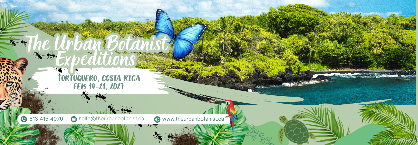 The Urban Botanist Expeditions Costa Rica 2027 Tortuguero