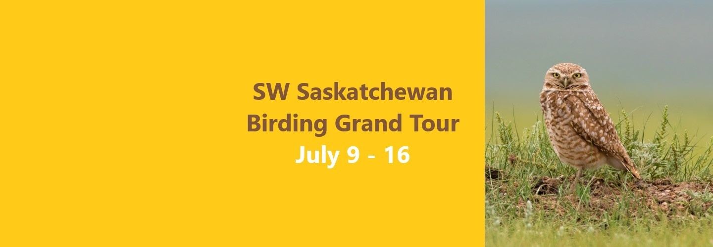 Canada – SW Saskatchewan Birding Grand Tour