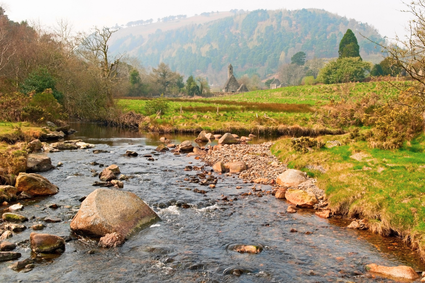 Wellness in the Wild Yoga Retreat