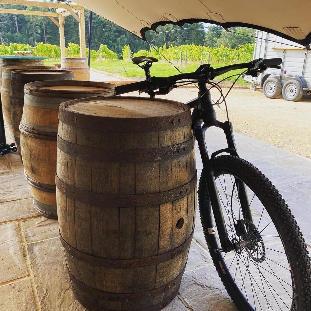 E-bike Daily Rental.
