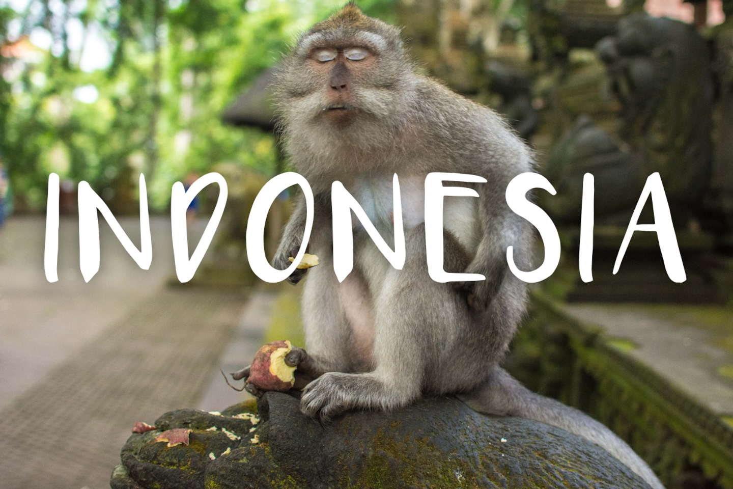 Chasin Indonesia - 17th May, 2024