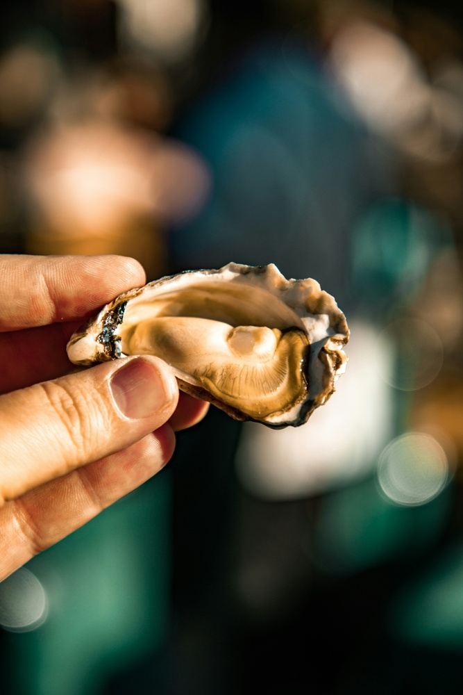 Visit Local Producers - Oyster Farm & Tasting