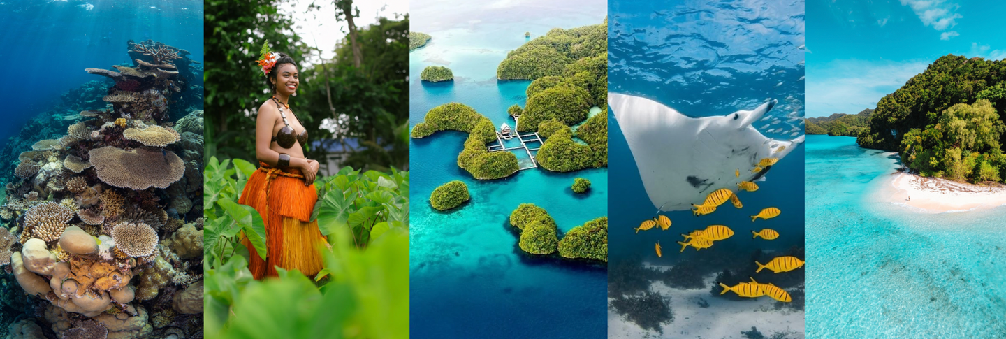 SALTY LUXE - Palau Expedition