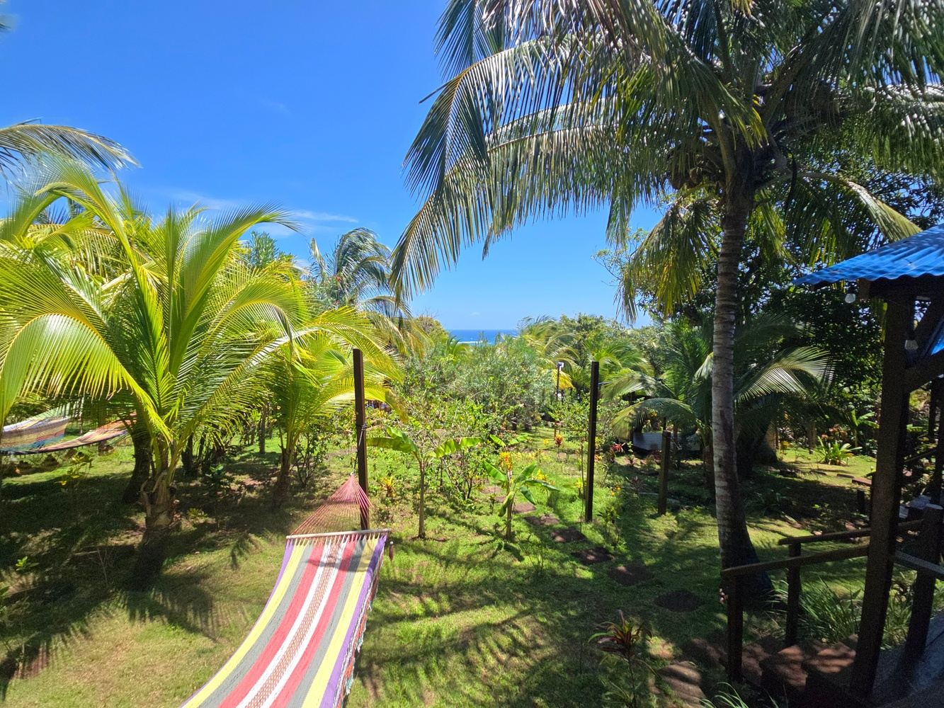 The Endless Summer Reset: 3 Nights of Wellness and Adventure Nicaragua