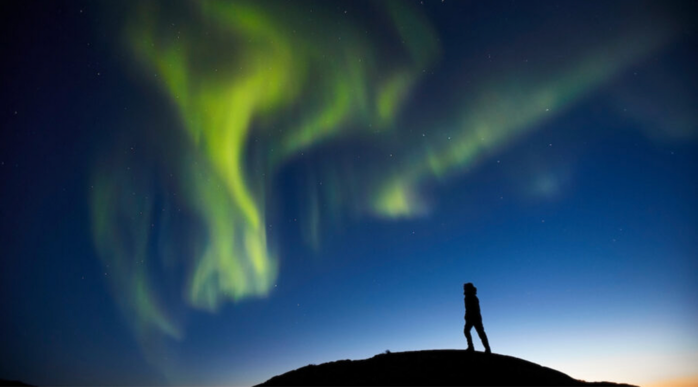 Northern Lights with Local Bites (cruise)