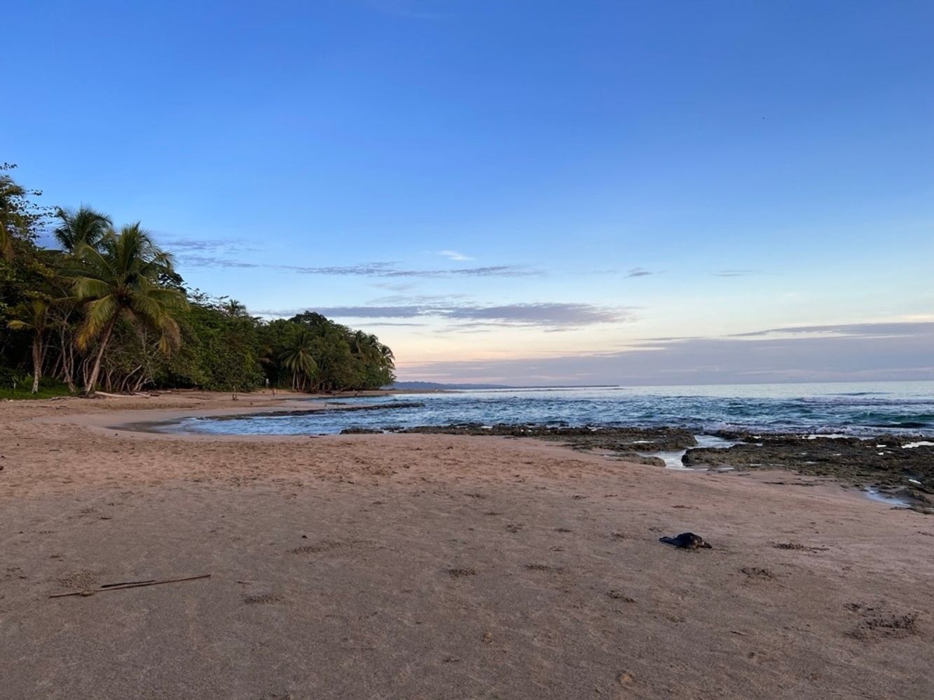 Yoga Camp in Costa Rica
