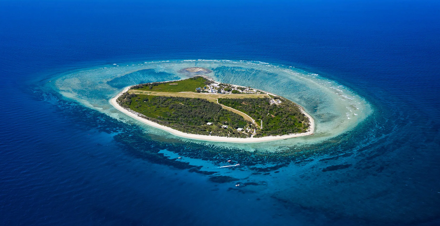 Lady Elliot Island