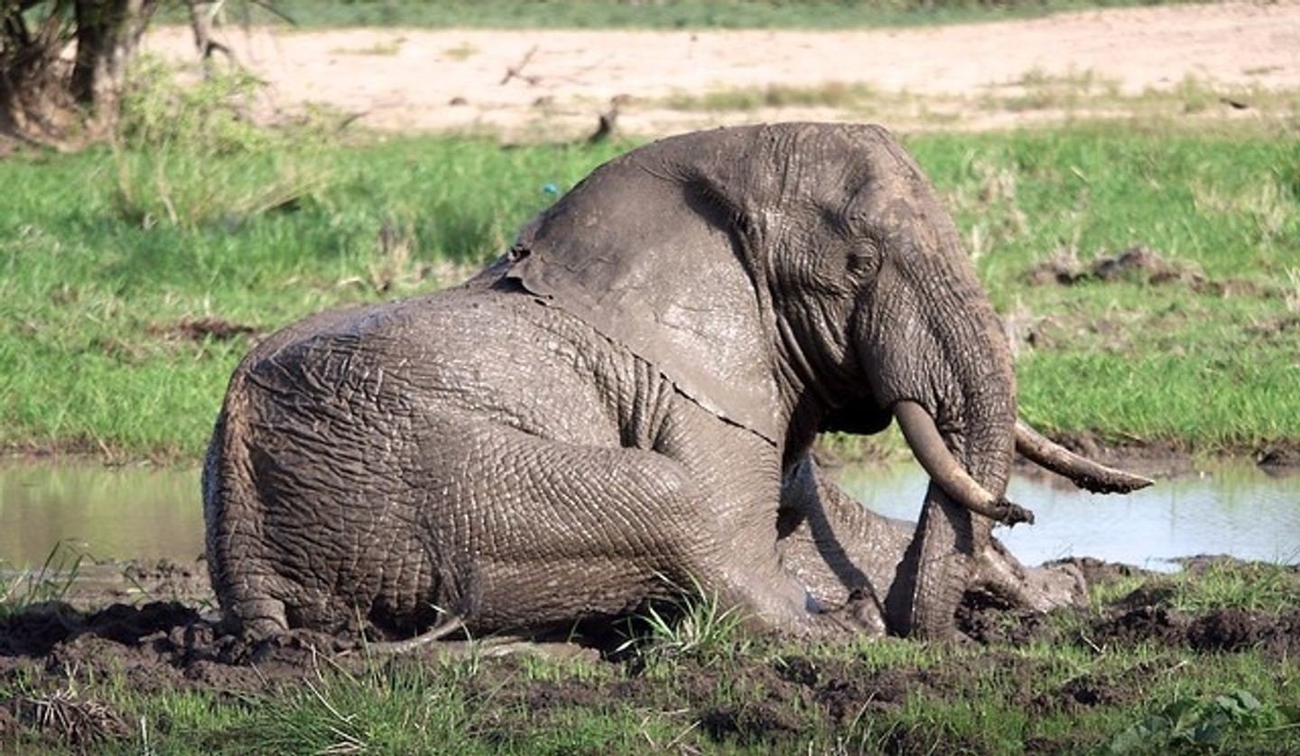 5 DAY KRUGER NATIONAL PARK & CAPE TOWN