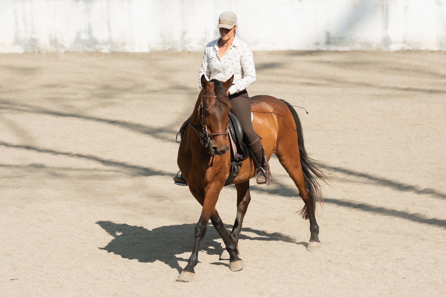 Classical Horsemanship Course – Ride & Stay or Intensive