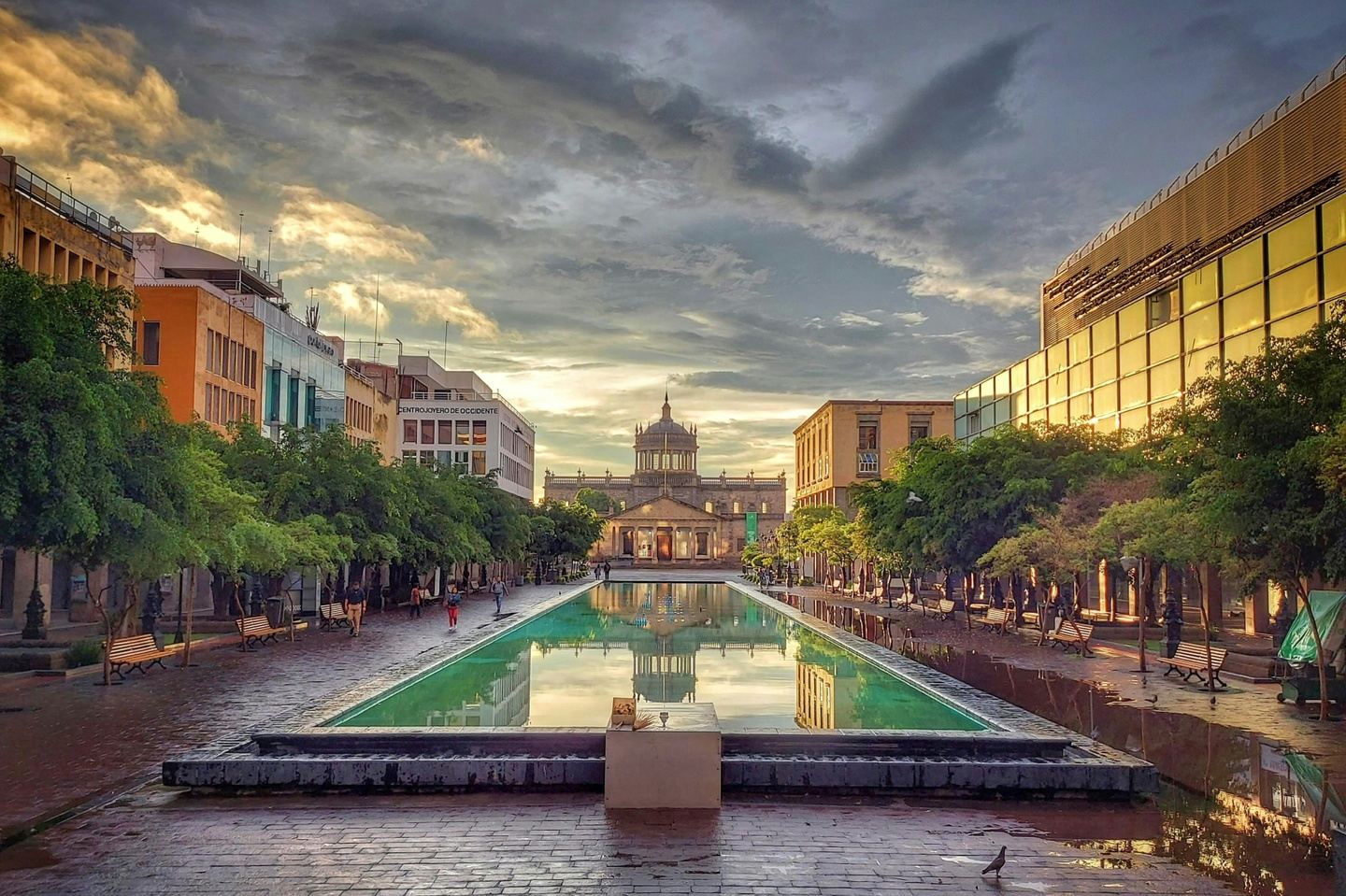Pilgrimage to Mexico with Fr. Fitz