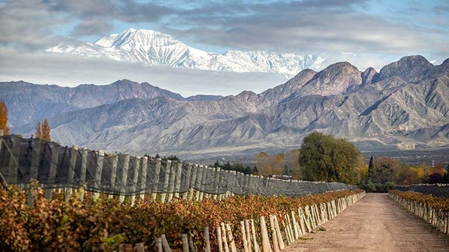 Tacaron Wine Trip's: Argentina Wine regions