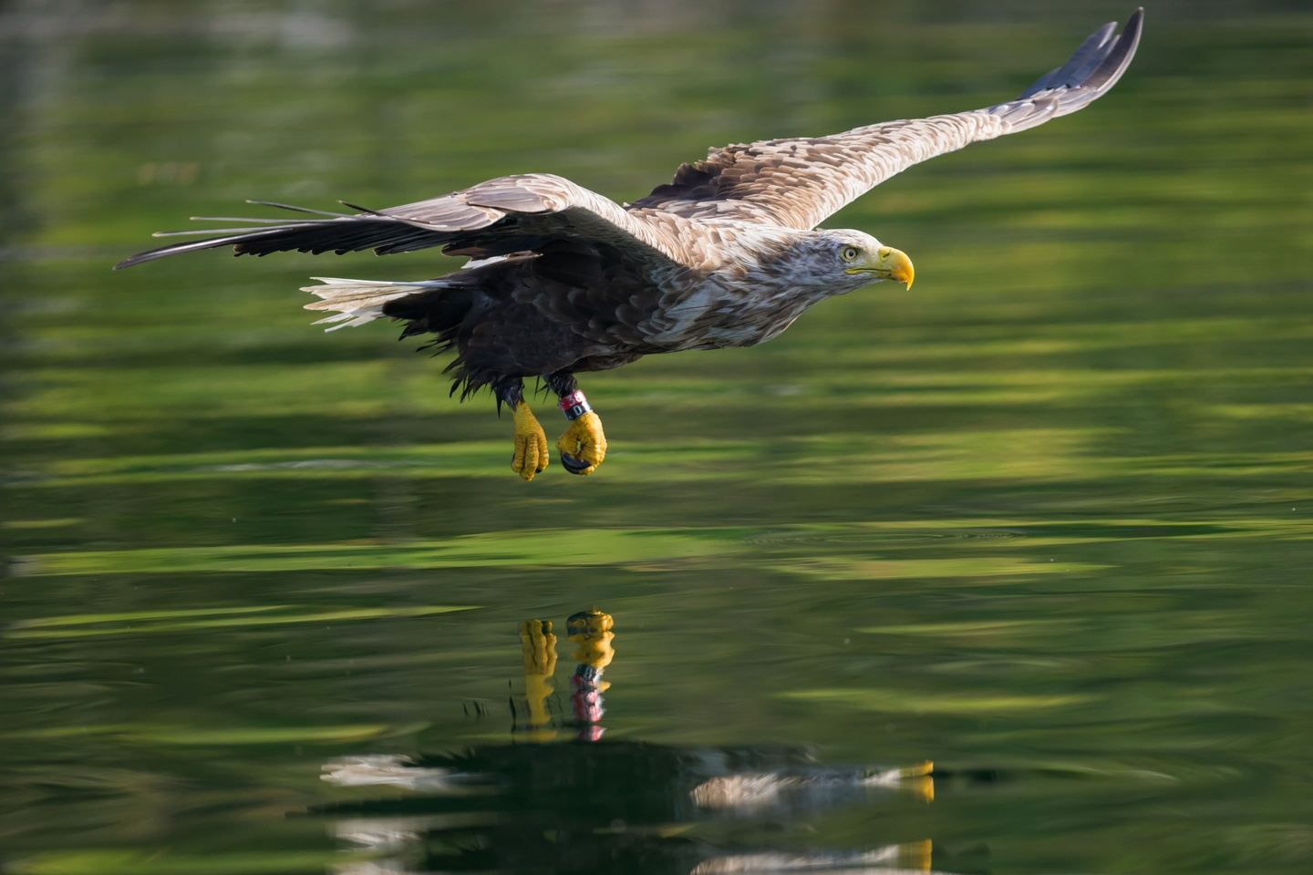 Wildlife Photography Workshop