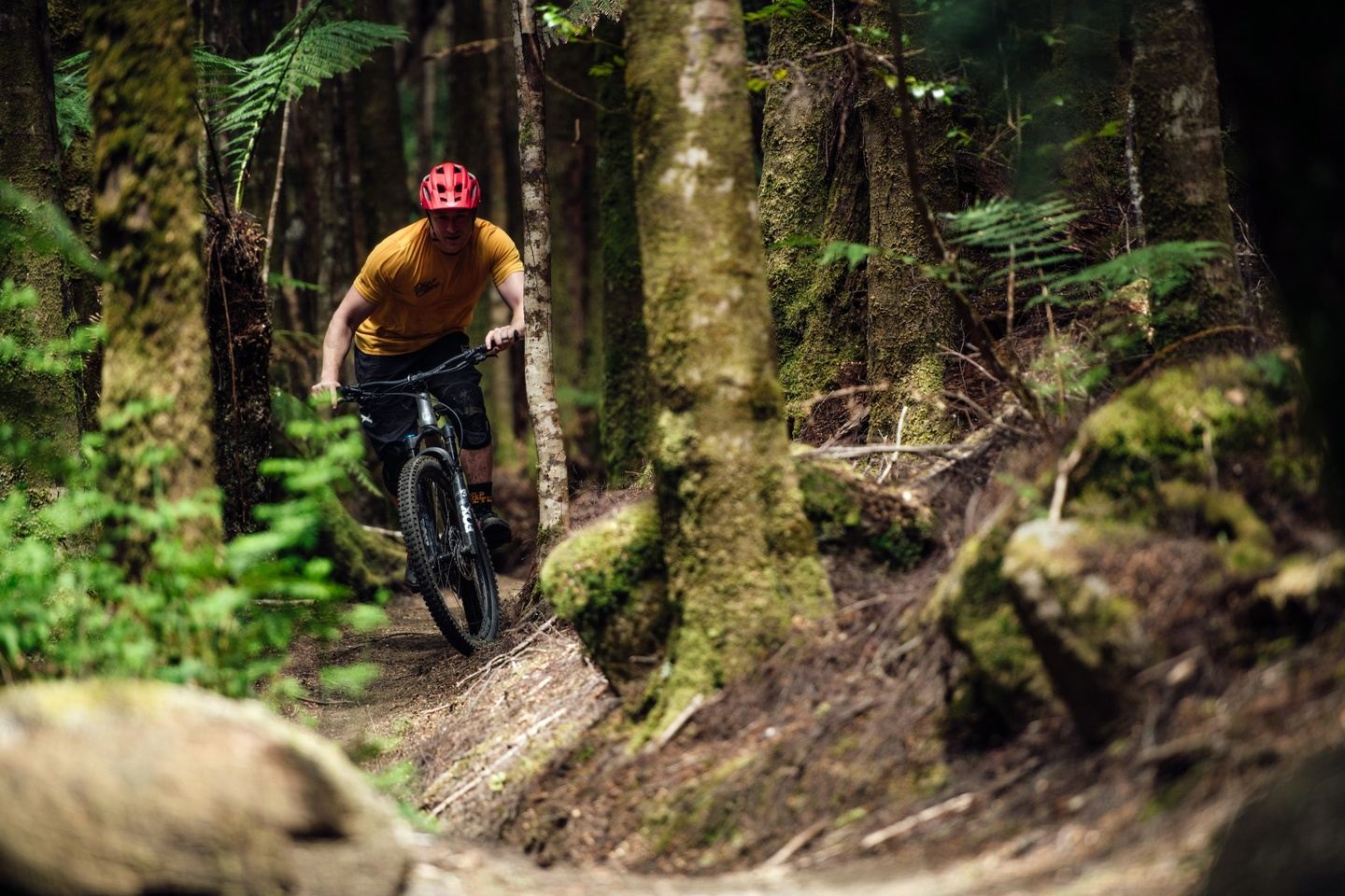 Guided e-MTB Tour, Derby Tasmania