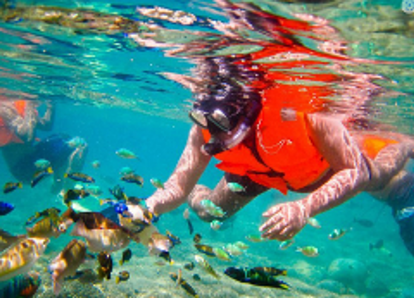 Amed Diving & Snorkelling Day Trip