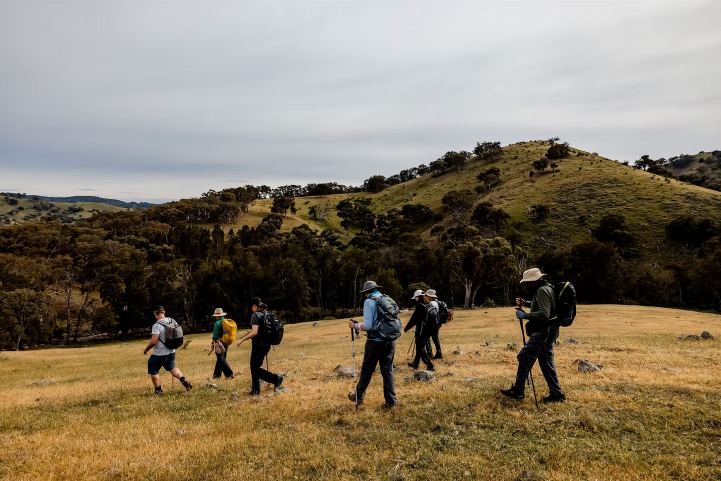 Rove Numby Walk/Stay/Feast Classic long-weekend
