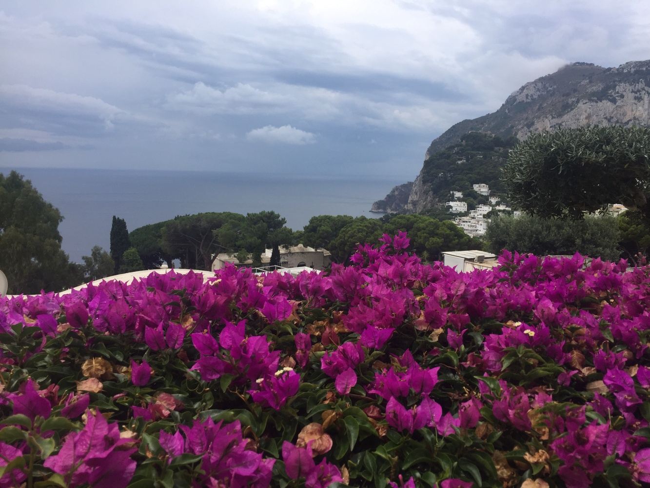 Taste of Southern Italy