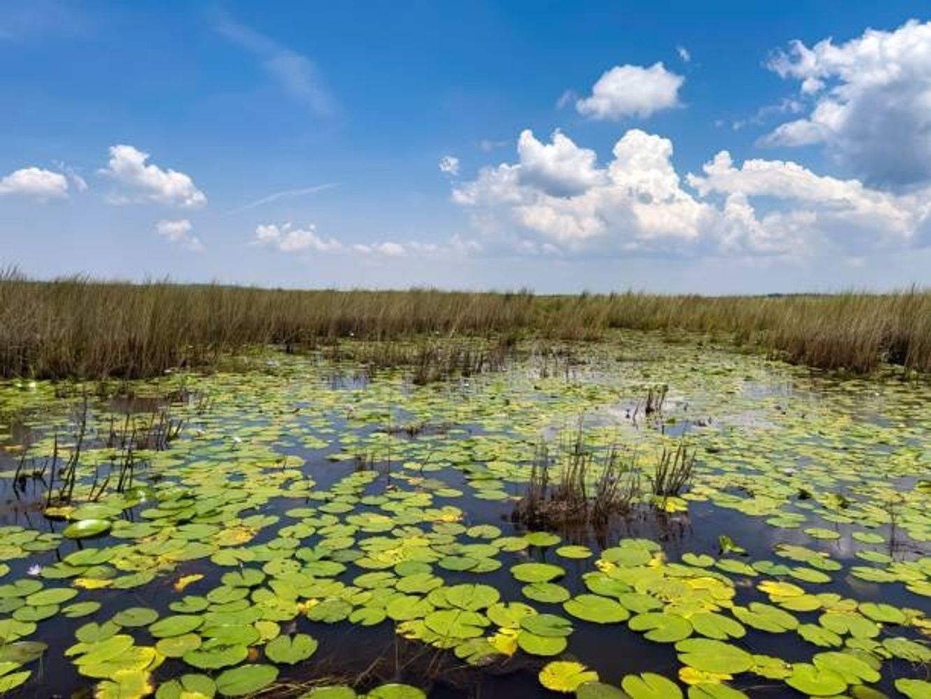 7-Day Uganda's Scenic Lakes and Wetlands Tour