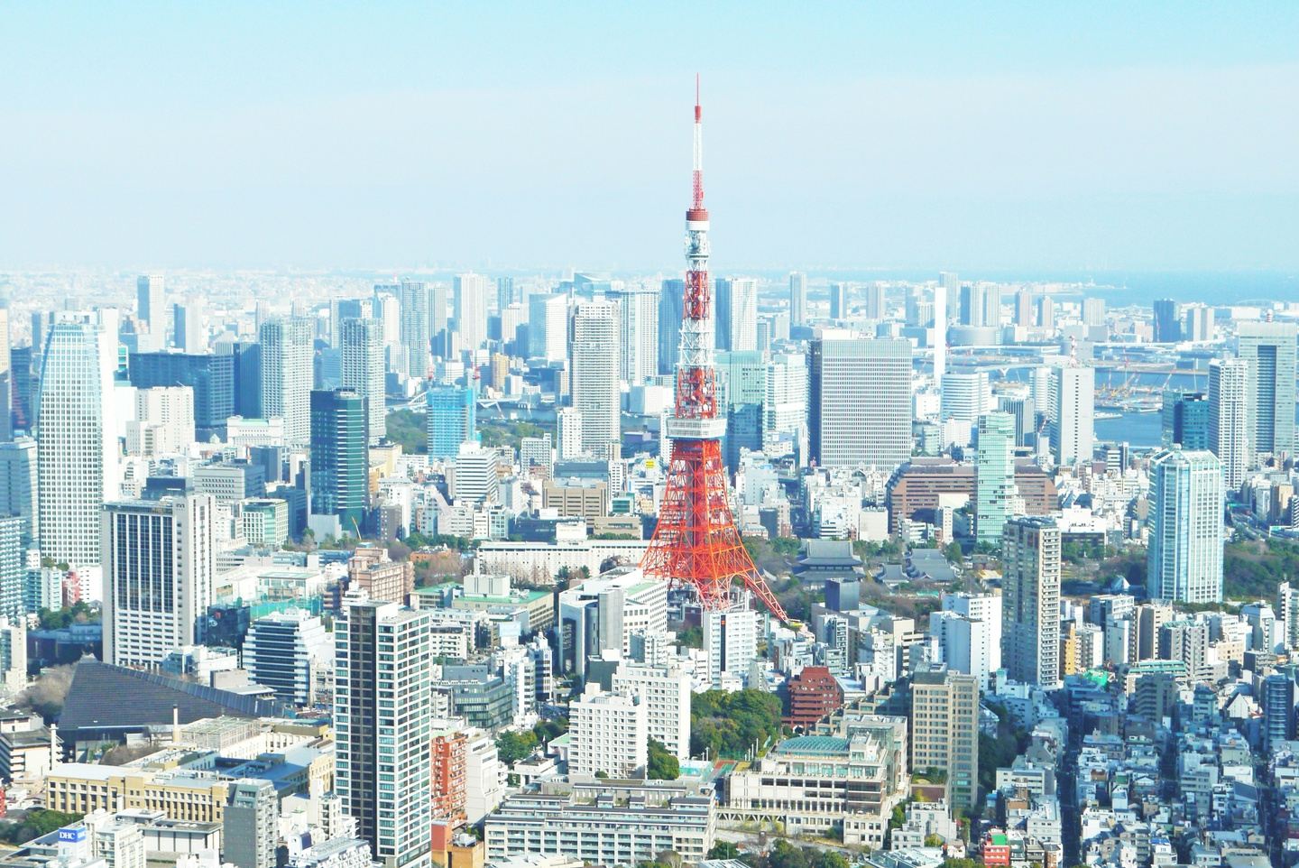 Donner family's Japan trip in Oct 2024