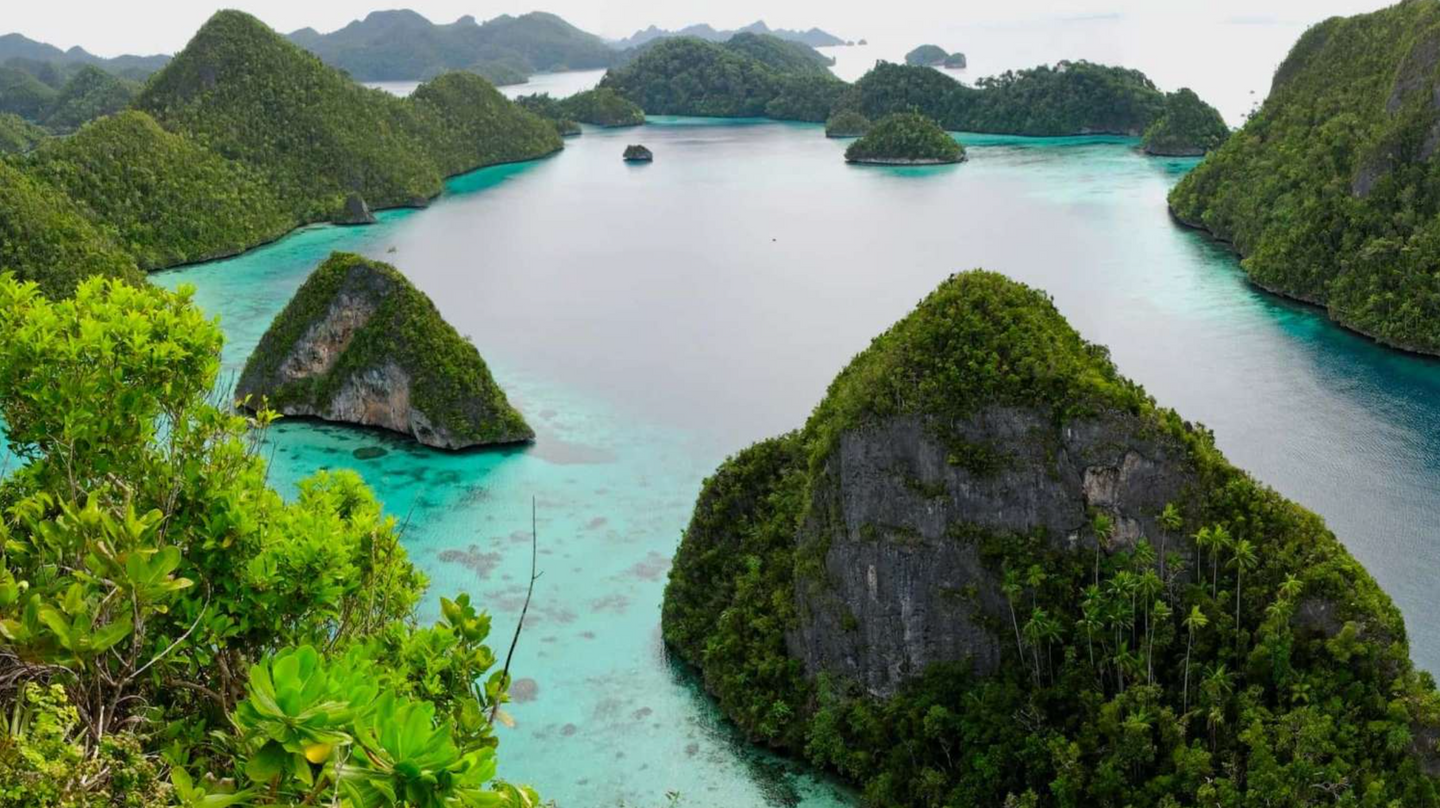 Raja Ampat Diving Cruise with Renee