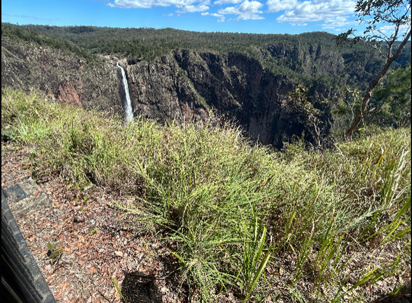 Wallaman Falls Day Tour