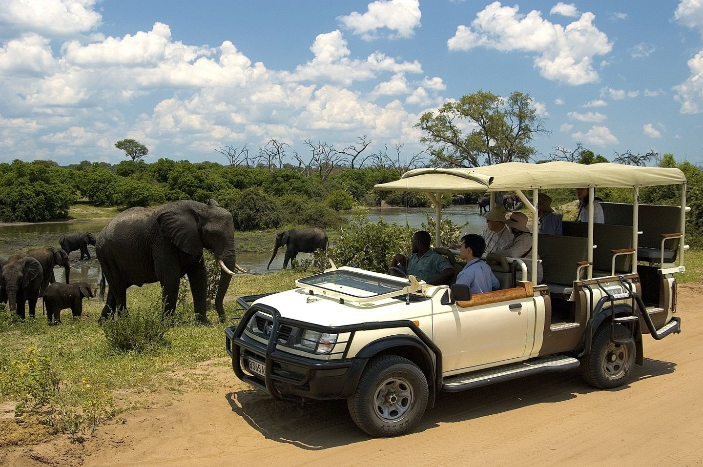 4-Day Luxury Hwange NP Safari from Victoria Falls