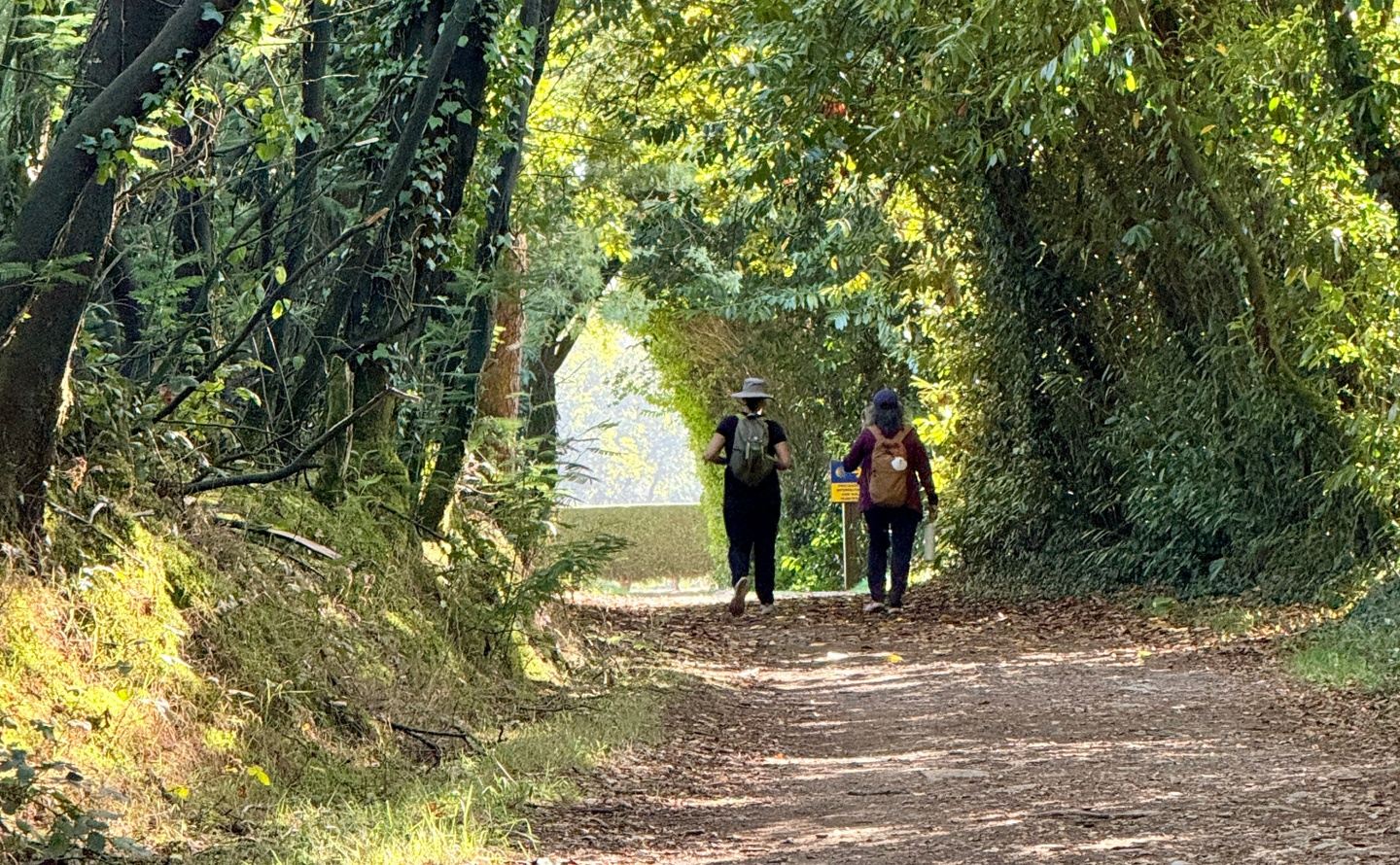Your Camino Your way! French Camino