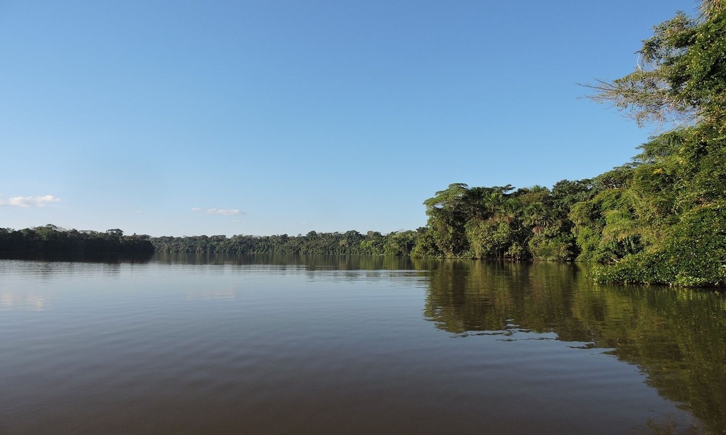 The Complete Tambopata Experience 5 days