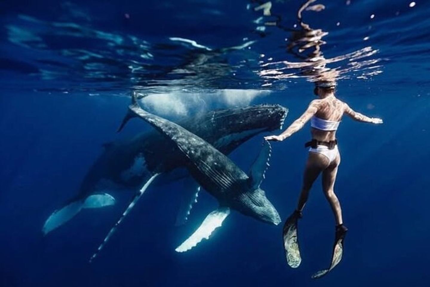 Bucket List Blue-Moorea