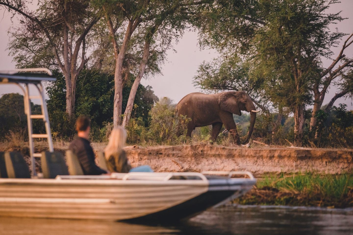 Privately Guided Zambia Safari Experience - May 2027