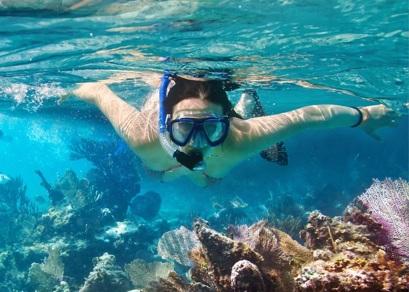 Reef Snorkeling Express Private Adventure Puerto Morelos