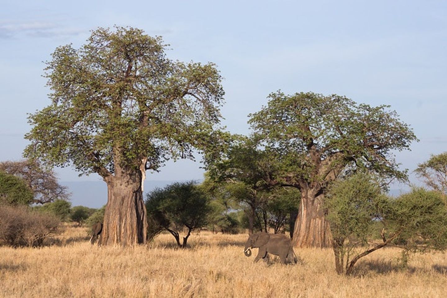 Unforgettable Tanzania/Zanzibar