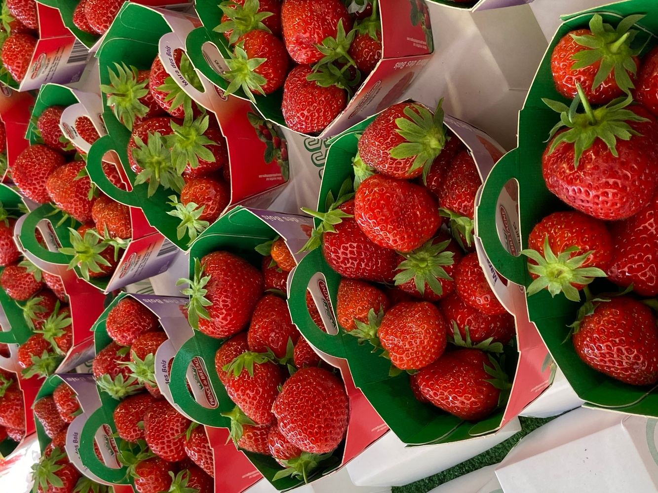 Paris, Poppies & Picturesque Villages in Provence !