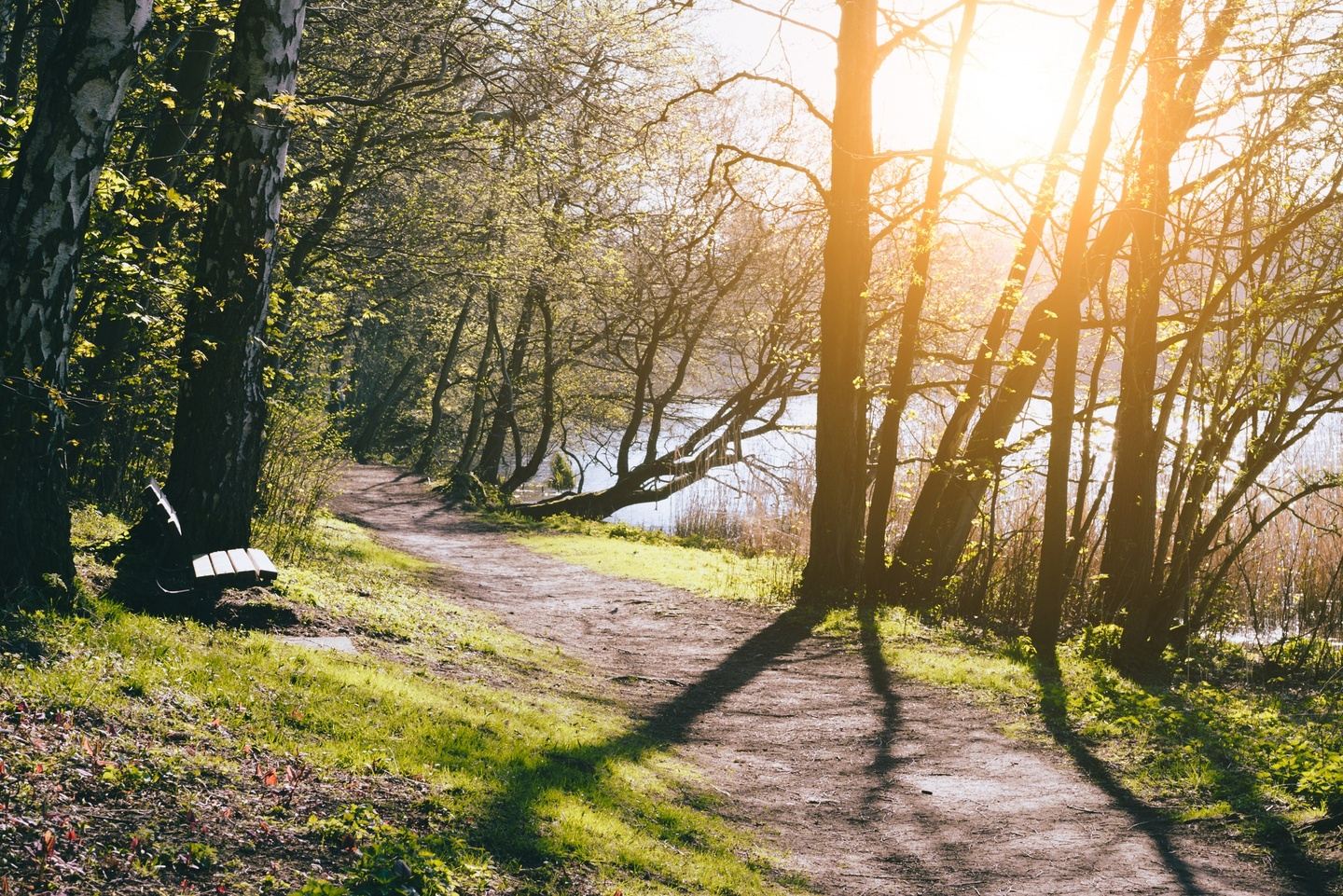 Restorative Mindfulness Retreat: Coming Home to Ourselves