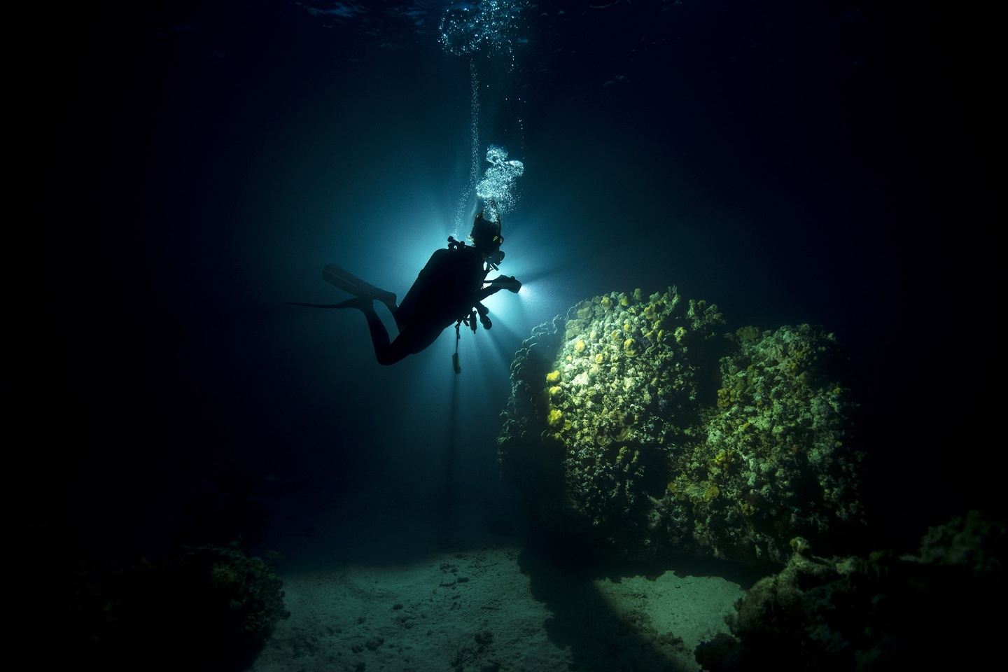 Course - Night Diver speciality