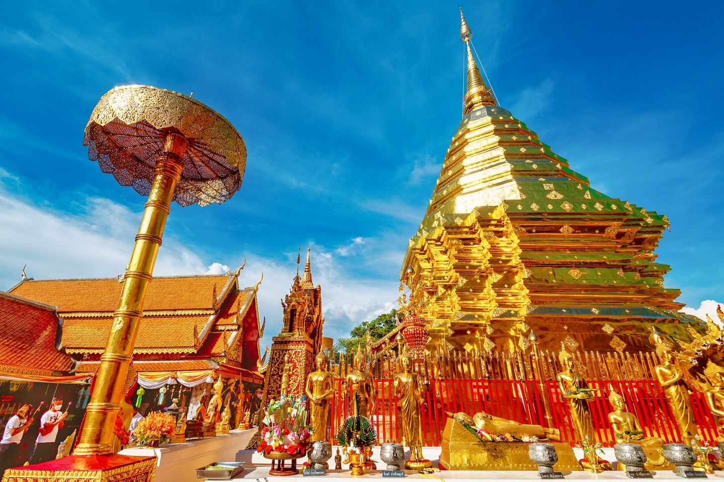 Ancient Temples, Ethical Elephants & Nature Escapes