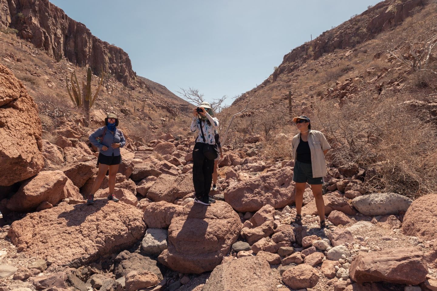 Hike en Isla Espíritu Santo