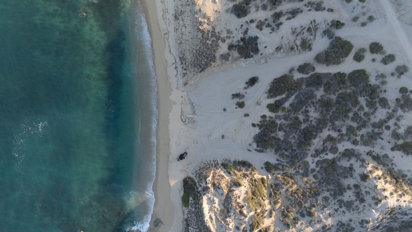 Southern Baja October 11-16, 2026