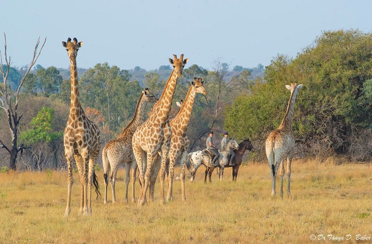 South Africa  - 3-Night Waterberg Safari