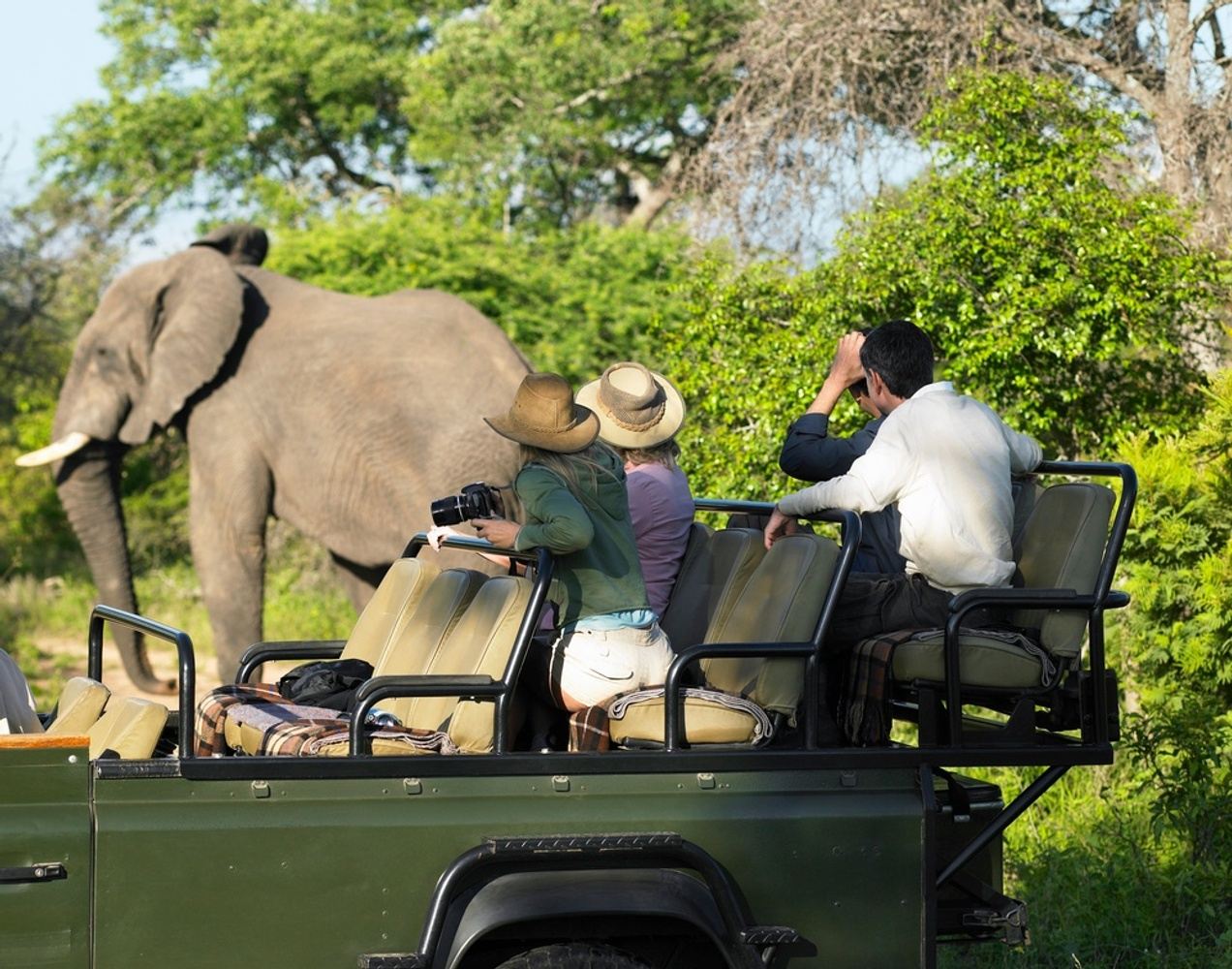 10 DAYS TANZANIA PHOTOGRAPHY SAFARI