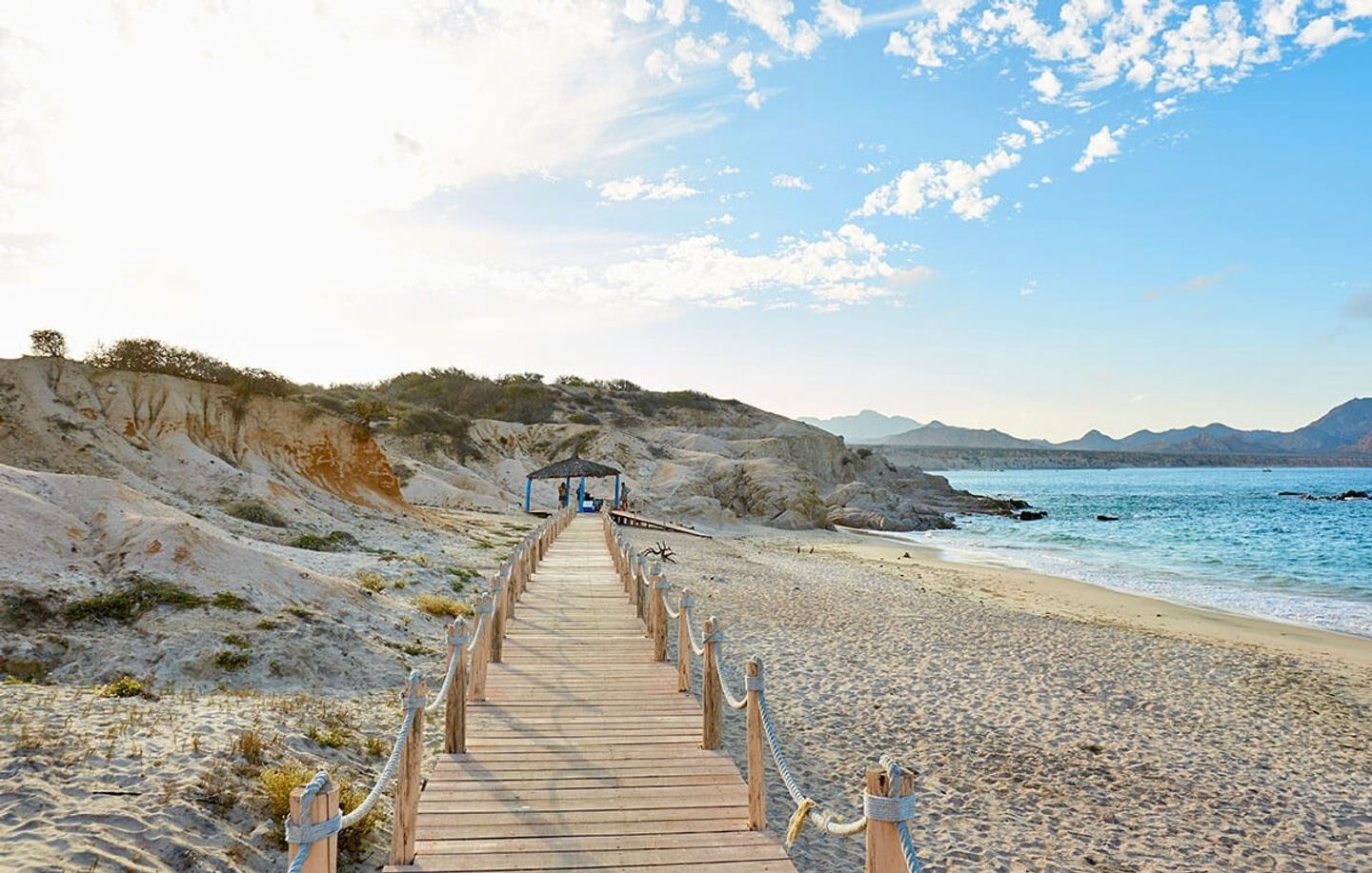 Serenity In Baja: Beachfront Yoga Retreat in Cabo Pulmo with Chrissy