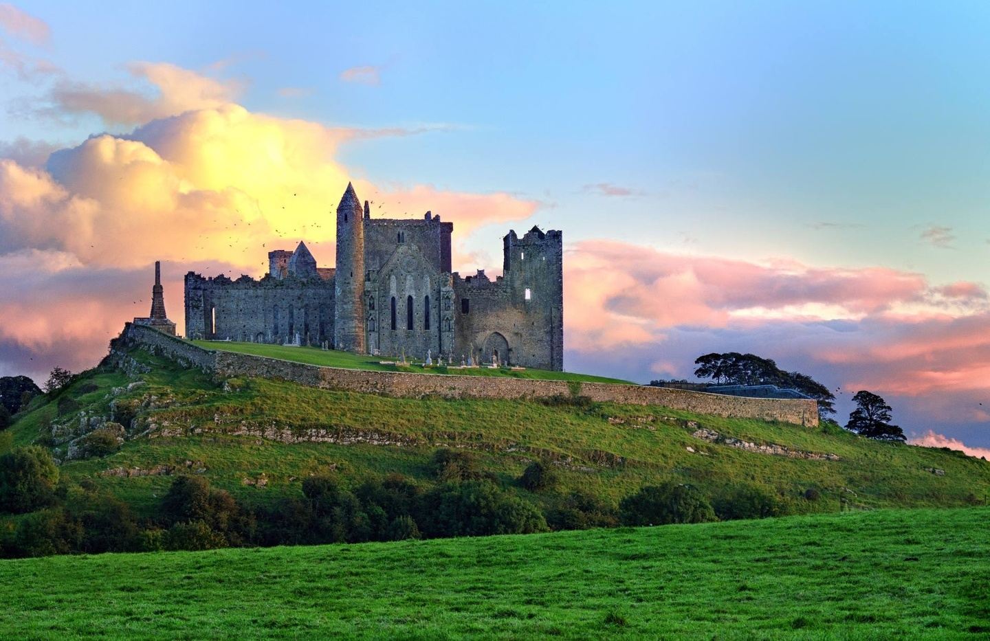 The Black Donelly's Reunion Tour of Ireland