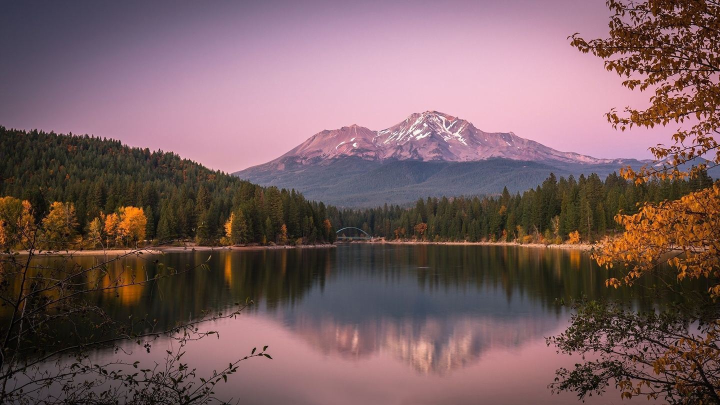 Wellness Retreat - "Grief & Healing"