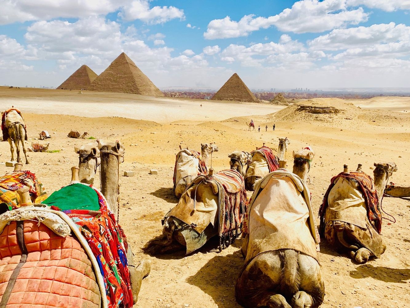 Explore Ancient Egypt with Us!