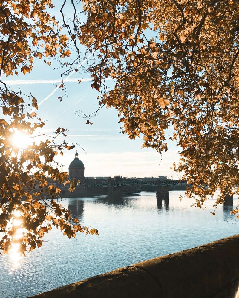 A Week in the Pink City: Toulouse, France