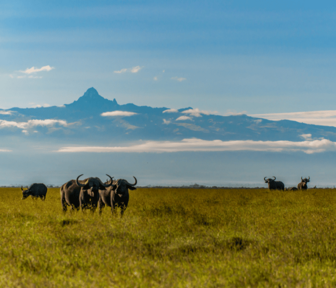 AED: Mt Kenya -LENANA POINT 4,985M