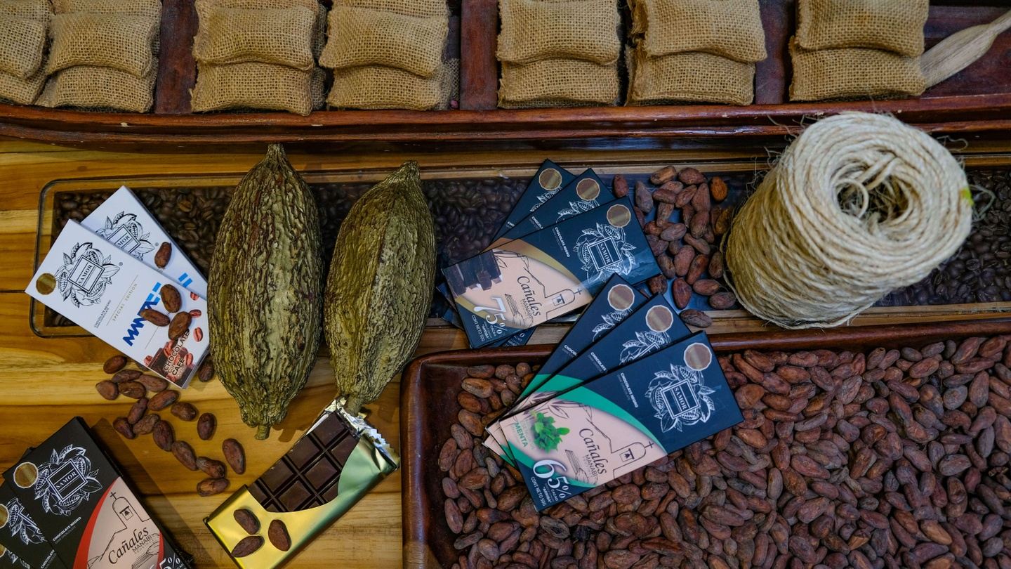 Cocoa Farm Tour